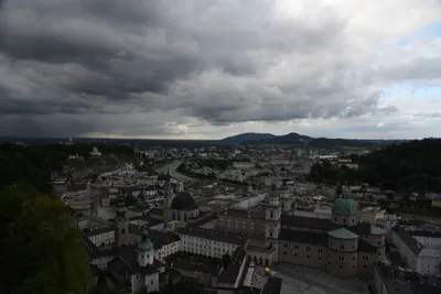 DSC_6367 (Large).JPG